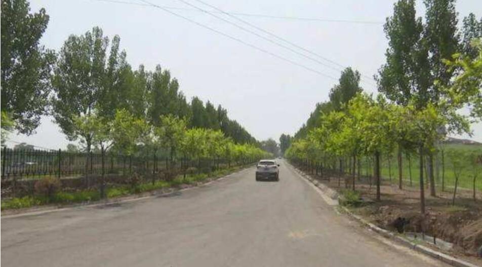 井陉矿区西环旅游路南延绿化工程